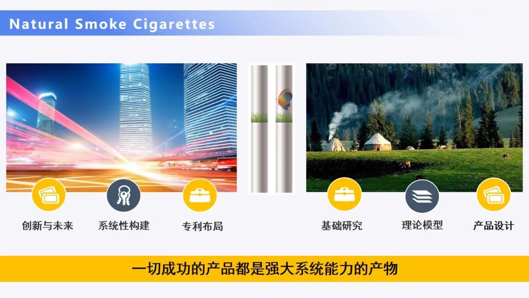 【NSCs科学】2021冬至会议最新！李斌博士—从卷烟燃烧机制谈自然烟气产品（NSCs）创新