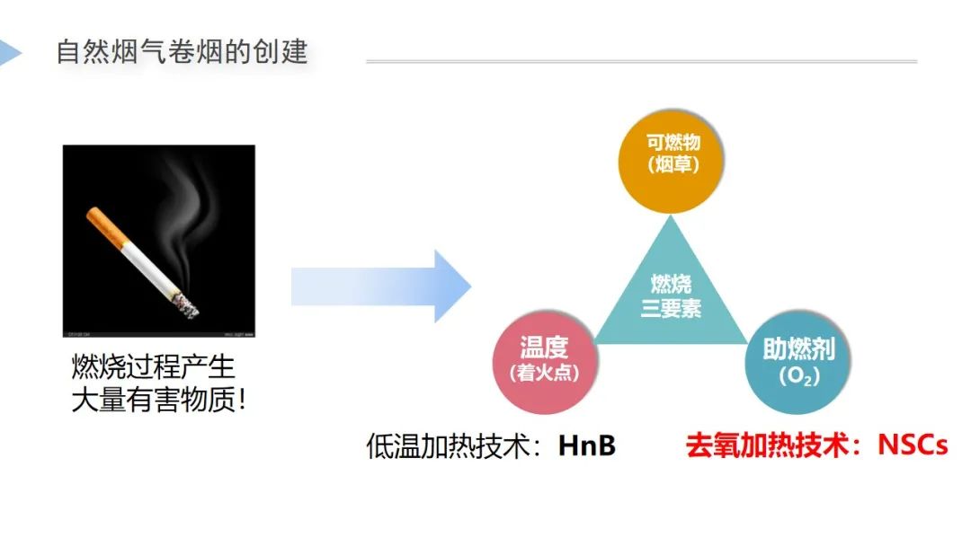 【NSCs科学】2021冬至会议最新！李斌博士—从卷烟燃烧机制谈自然烟气产品（NSCs）创新