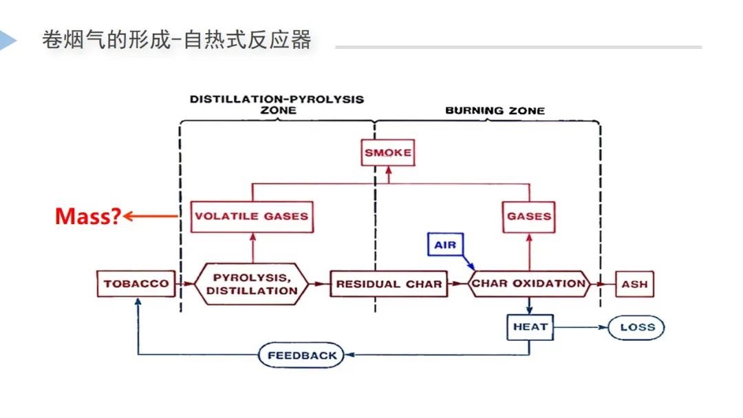 【NSCs科学】2021冬至会议最新！李斌博士—从卷烟燃烧机制谈自然烟气产品（NSCs）创新