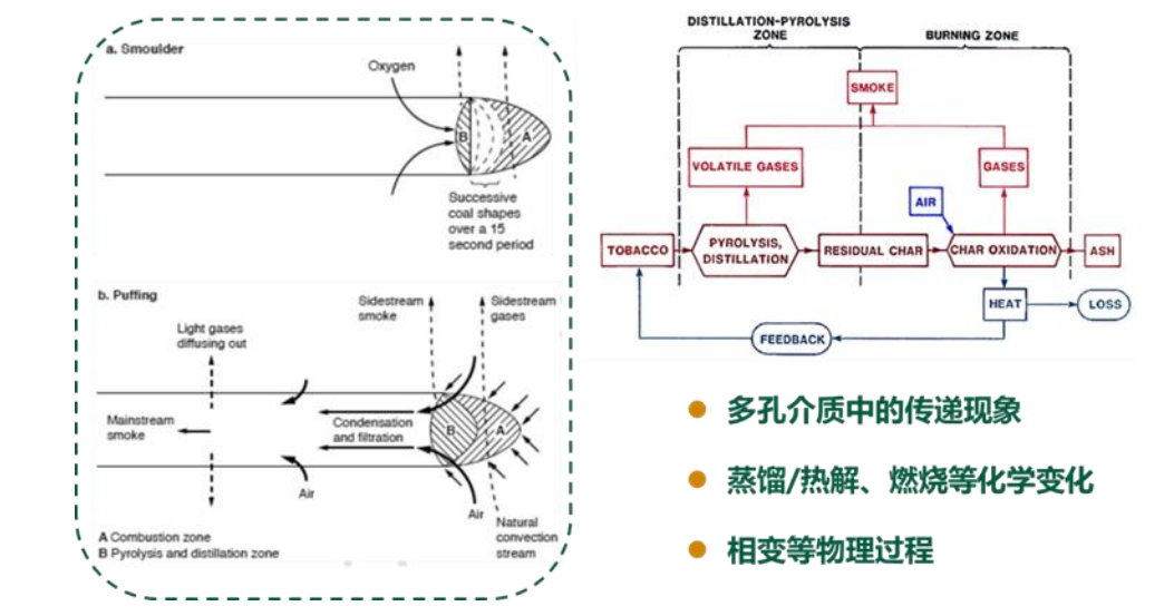 【重磅消息】成果发布！加热卷烟烟具烟支耦合设计平台