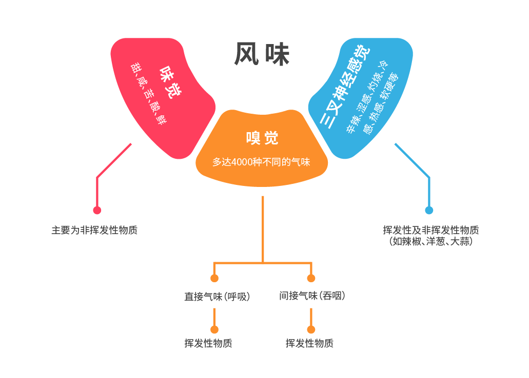 如何品鉴烟草风味电子雾化液——什么是风味？