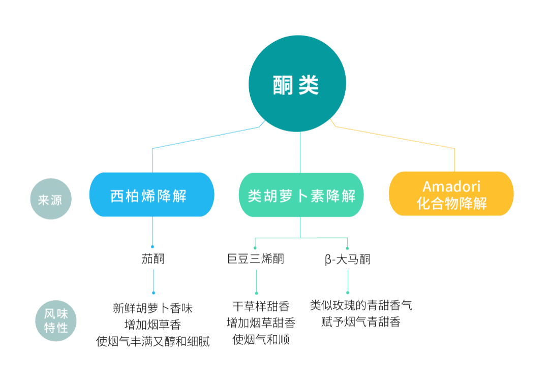 如何品鉴烟草风味电子雾化液——香味分类维度