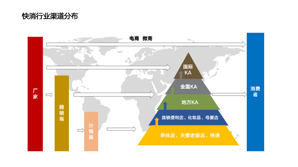 Dual Perspectives on the Export Channels for E-cigarettes: Fast-moving Consumer Goods and Consumer Electronics